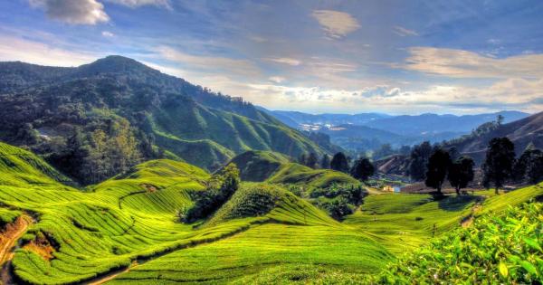 Cameron Highlands