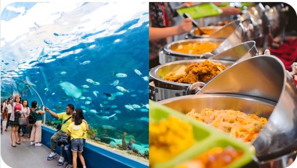 Аялал+ Байр + хоол